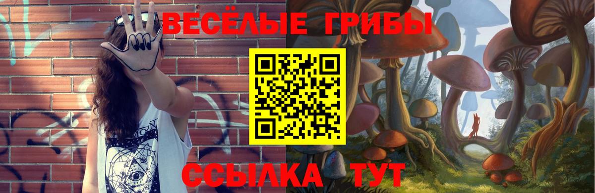 Псилоцибиновые грибы Psilocybe  Вход с VPN  закладки  Жигулёвск 